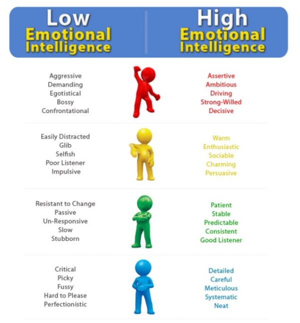 understanding-the-four-areas-of-eq-transitional-support